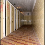 Mystické súhajzlie.