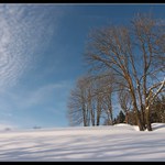 Zima v Jizerkách I.