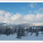 *pohled na Sněžku II.*