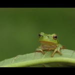 no to to trvalo ....