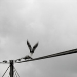 ..:To Be Free/2:..