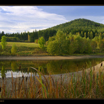 Vypuštěný rybník