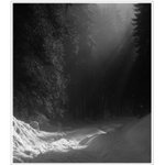 Podvečerní světlo v Chočských vrších