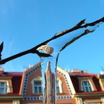 v rampouchu zakletý...