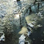 ...o slunci a o naději II.