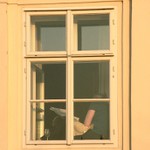 na okně seděla kočka..