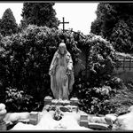 zase sněží bo....