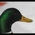 ..vysmátý, snad mu to vydrží..