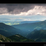 -- Orava --