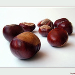 -- indície podzimu --