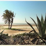 Djerba