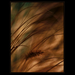 **Jarní abstrakce**