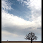 .:Jaro u Samotáře:.