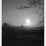 Z psích procházek..............