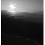 Z psích procházek..................