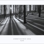 ZIMNÍ SLUNCE LESA