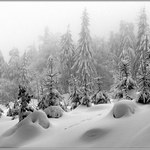 Konec zimy v nedohlednu