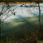 Zamyšlený večer u rybníka...