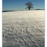 ..zimní..snad poslední..