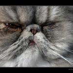 Víš co mi můžeš?