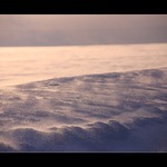 Už ho dejte letos pryč