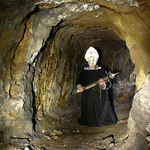 Bojovná ovce Ovis Montanus