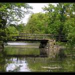 Spomienka na minulé leto