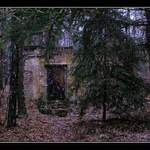 Poslední záchvěv zimy