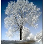 Když mlha ustoupila