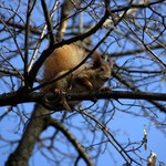 Moje dnešní neposlušná modelka