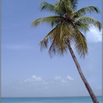 Vyměním: Sníh za písek, zn. Levně