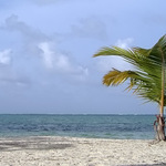 Jedna malá osamocená