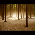 ... a vše  posypeme čokoládou