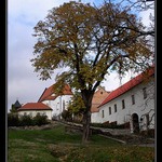 Cez Svaty Jur