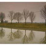 I don\'t like Mondays