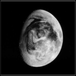 Moon Child