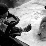 člověk vs. zvíře