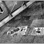 World´s terrorist #1