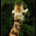 Fotím,prosím úsměv