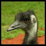 účes Alla tornádo