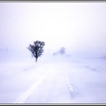 Inverzná snehová búrka