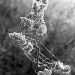 zabaleno firmou Pokoutník a spol (pro ty, co si potrpí na anglické titulky Packed by Pokoutník & Co)