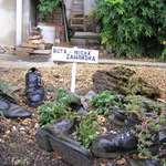 bota - nická zahrádka