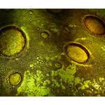 ....................