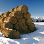 Slnce, seno a...sneh