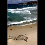 Tamarama Beach / Sydney