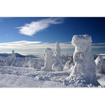 ***sněhové sochy II.***