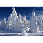 ***sněhové sochy III.***