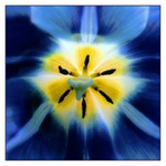 ***VÝCHOD SLUNCE***