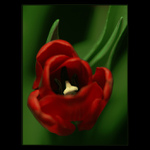 ***MELANCHOLIA II.***